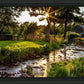 Plate 4 - Downham Spring Brook at Sunset