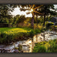Plate 4 - Downham Spring Brook at Sunset