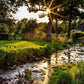 Plate 4 - Downham Spring Brook at Sunset