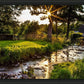 Plate 4 - Downham Spring Brook at Sunset