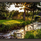 Plate 4 - Downham Spring Brook at Sunset