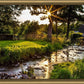 Plate 4 - Downham Spring Brook at Sunset