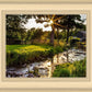 Plate 4 - Downham Spring Brook at Sunset