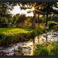 Plate 4 - Downham Spring Brook at Sunset