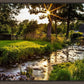 Plate 4 - Downham Spring Brook at Sunset