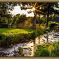 Plate 4 - Downham Spring Brook at Sunset