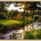 Plate 4 - Downham Spring Brook at Sunset