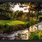 Plate 4 - Downham Spring Brook at Sunset