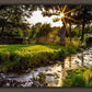 Plate 4 - Downham Spring Brook at Sunset
