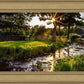 Plate 4 - Downham Spring Brook at Sunset