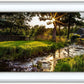 Plate 4 - Downham Spring Brook at Sunset