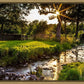 Plate 4 - Downham Spring Brook at Sunset