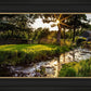 Plate 4 - Downham Spring Brook at Sunset