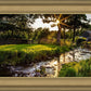 Plate 4 - Downham Spring Brook at Sunset