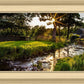 Plate 4 - Downham Spring Brook at Sunset