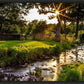 Plate 4 - Downham Spring Brook at Sunset