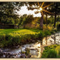 Plate 4 - Downham Spring Brook at Sunset