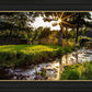 Plate 4 - Downham Spring Brook at Sunset
