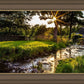 Plate 4 - Downham Spring Brook at Sunset