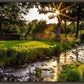 Plate 4 - Downham Spring Brook at Sunset