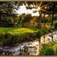 Plate 4 - Downham Spring Brook at Sunset