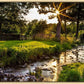 Plate 4 - Downham Spring Brook at Sunset