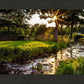Plate 4 - Downham Spring Brook at Sunset