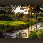 Plate 4 - Downham Spring Brook at Sunset