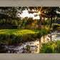 Plate 4 - Downham Spring Brook at Sunset