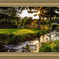 Plate 4 - Downham Spring Brook at Sunset