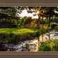 Plate 4 - Downham Spring Brook at Sunset