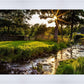 Plate 4 - Downham Spring Brook at Sunset