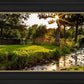 Plate 4 - Downham Spring Brook at Sunset