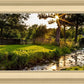 Plate 4 - Downham Spring Brook at Sunset