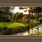 Plate 4 - Downham Spring Brook at Sunset