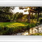 Plate 4 - Downham Spring Brook at Sunset