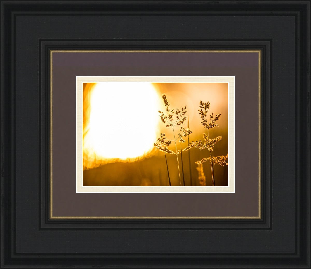 Plate 3 - Spring Brook Grasses