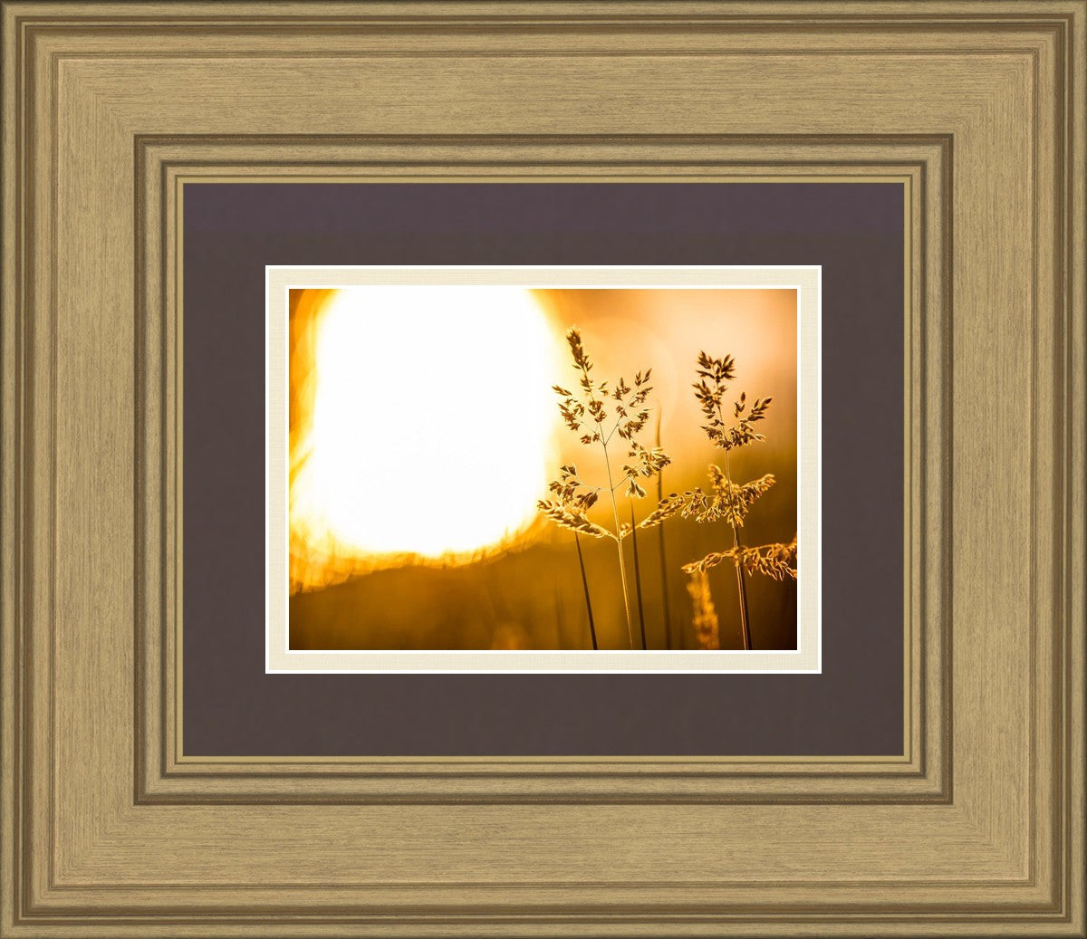 Plate 3 - Spring Brook Grasses