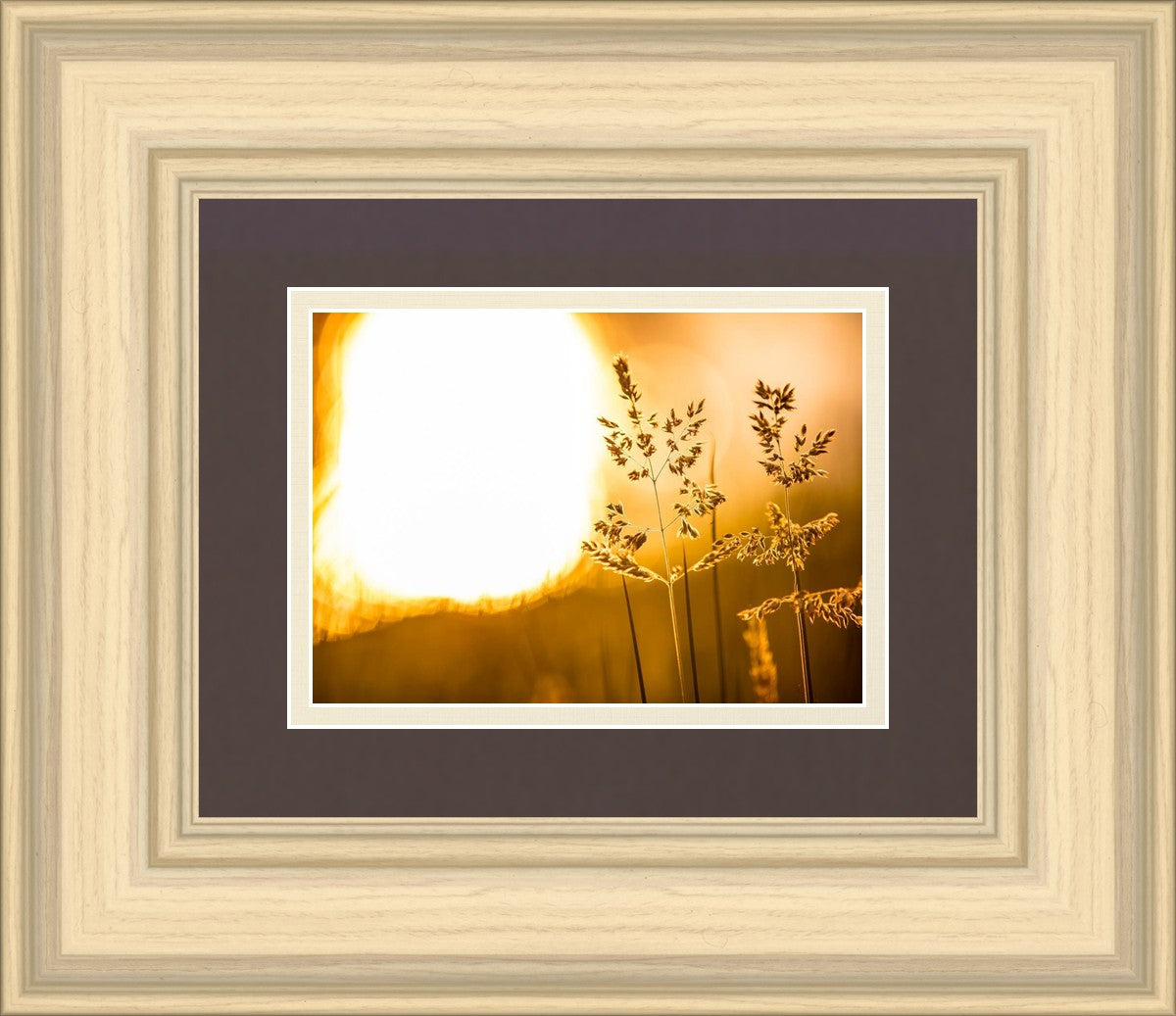 Plate 3 - Spring Brook Grasses