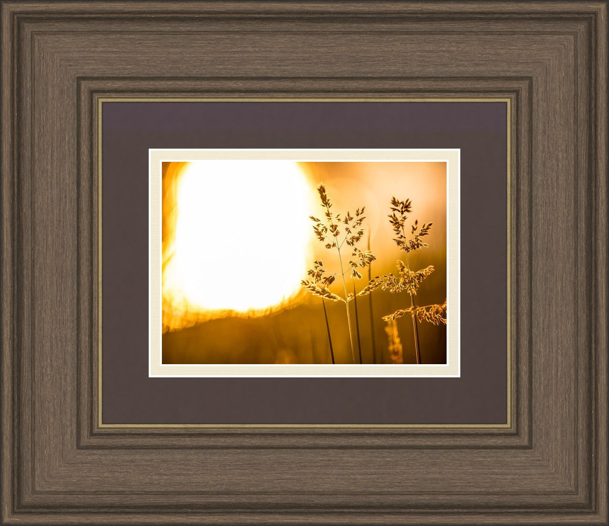 Plate 3 - Spring Brook Grasses