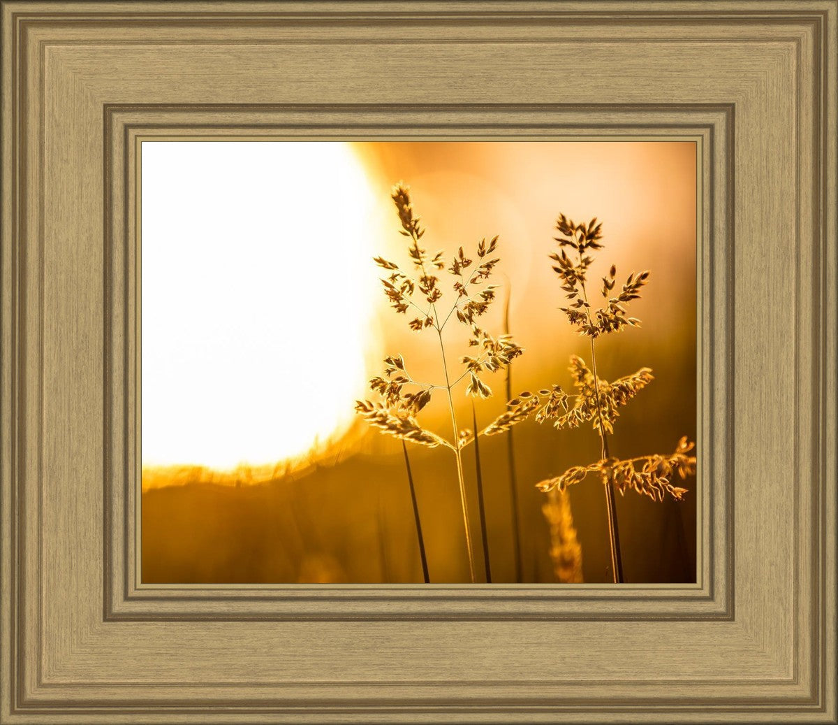 Plate 3 - Spring Brook Grasses