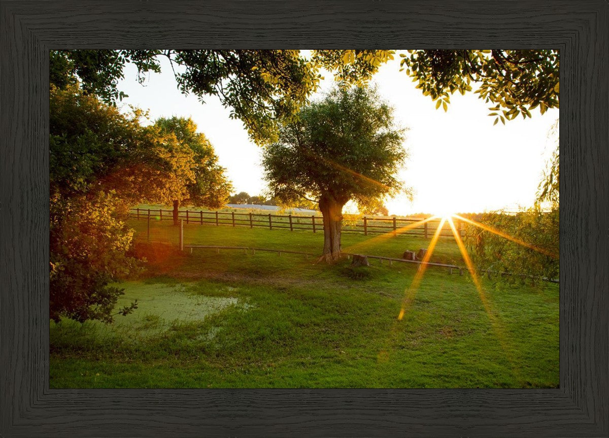 Plate 2 - Preparing a Pond