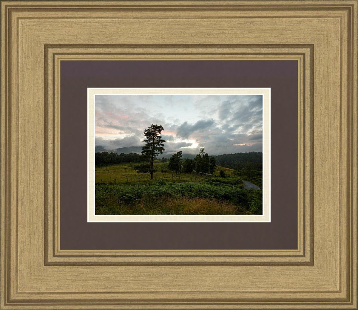 Plate 3 - Tarn Hows Above Ambleside