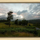 Plate 3 - Tarn Hows Above Ambleside