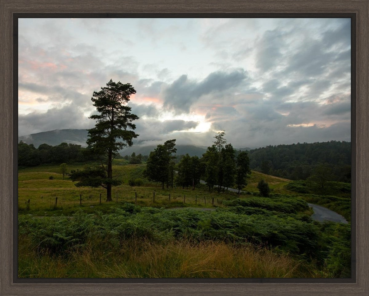 Plate 3 - Tarn Hows Above Ambleside