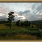 Plate 3 - Tarn Hows Above Ambleside