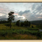Plate 3 - Tarn Hows Above Ambleside