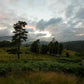 Plate 3 - Tarn Hows Above Ambleside