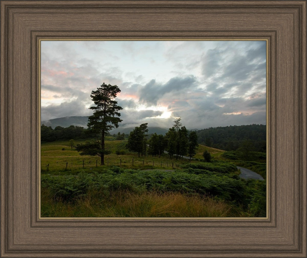 Plate 3 - Tarn Hows Above Ambleside