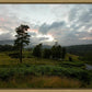 Plate 3 - Tarn Hows Above Ambleside